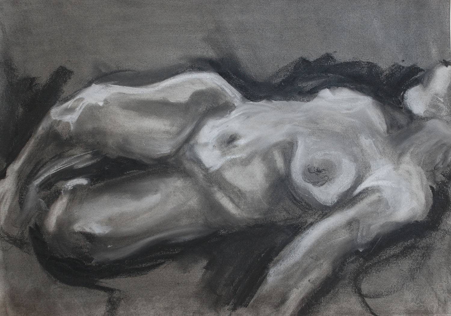 David B Hyman artwork