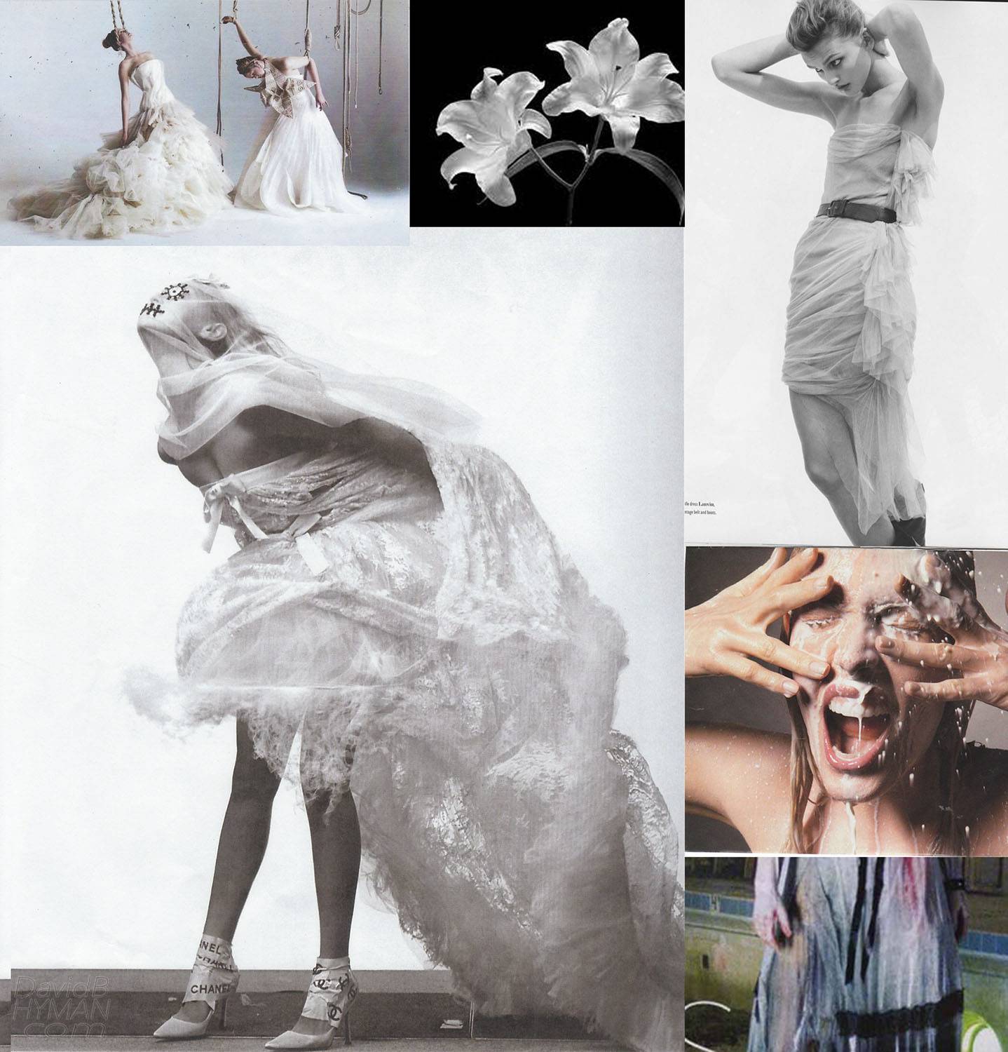 David B Hyman Medea with Child research