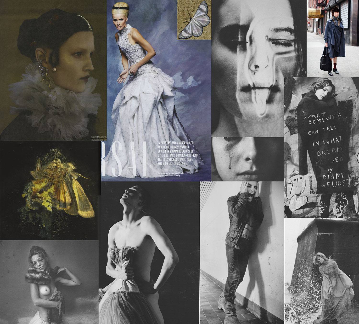 David B Hyman Hamlet research collage