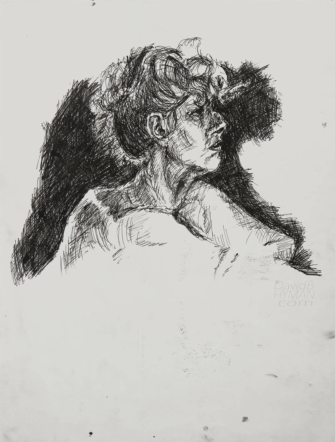 David B Hyman artwork