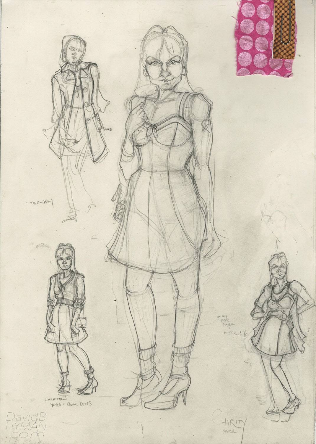 David B Hyman Sweet Charity rendering