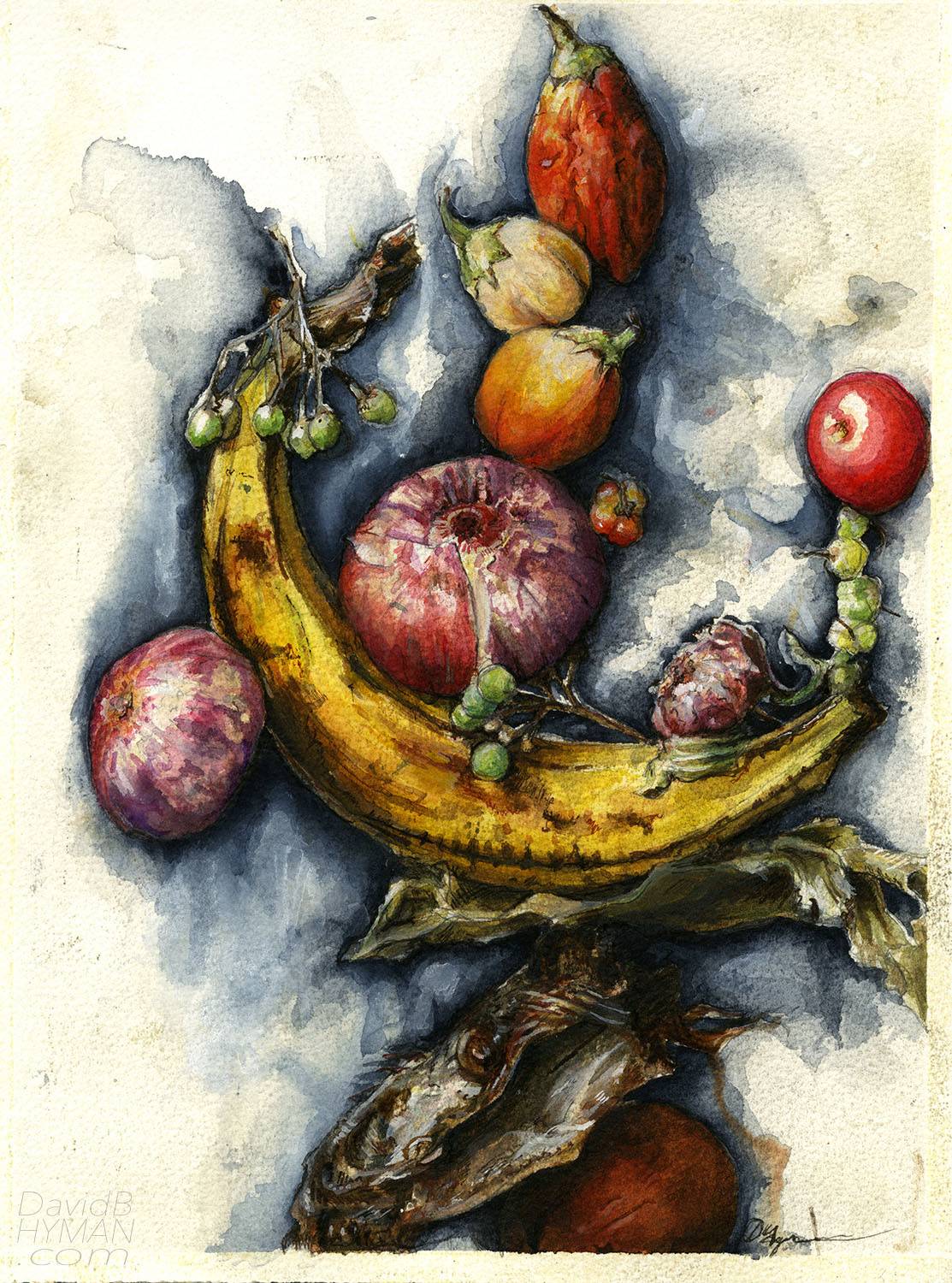 David B Hyman artwork