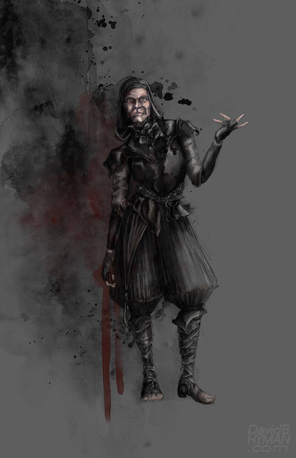 David B Hyman misc work rendering