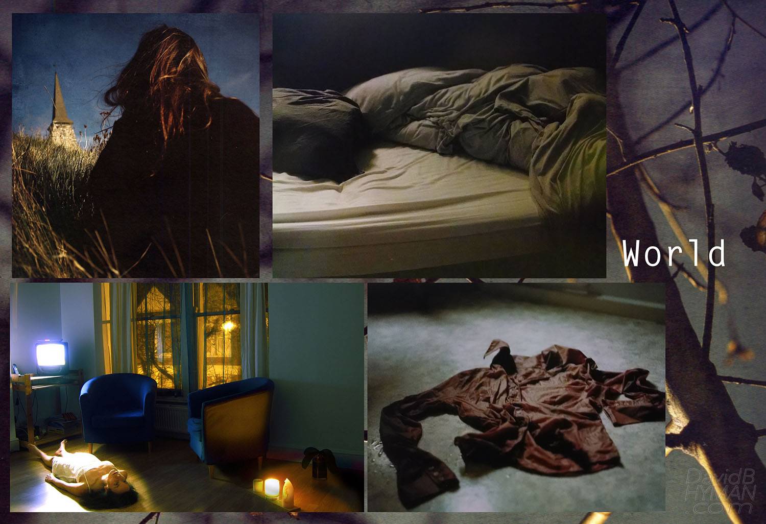 David B Hyman The Sound Inside research