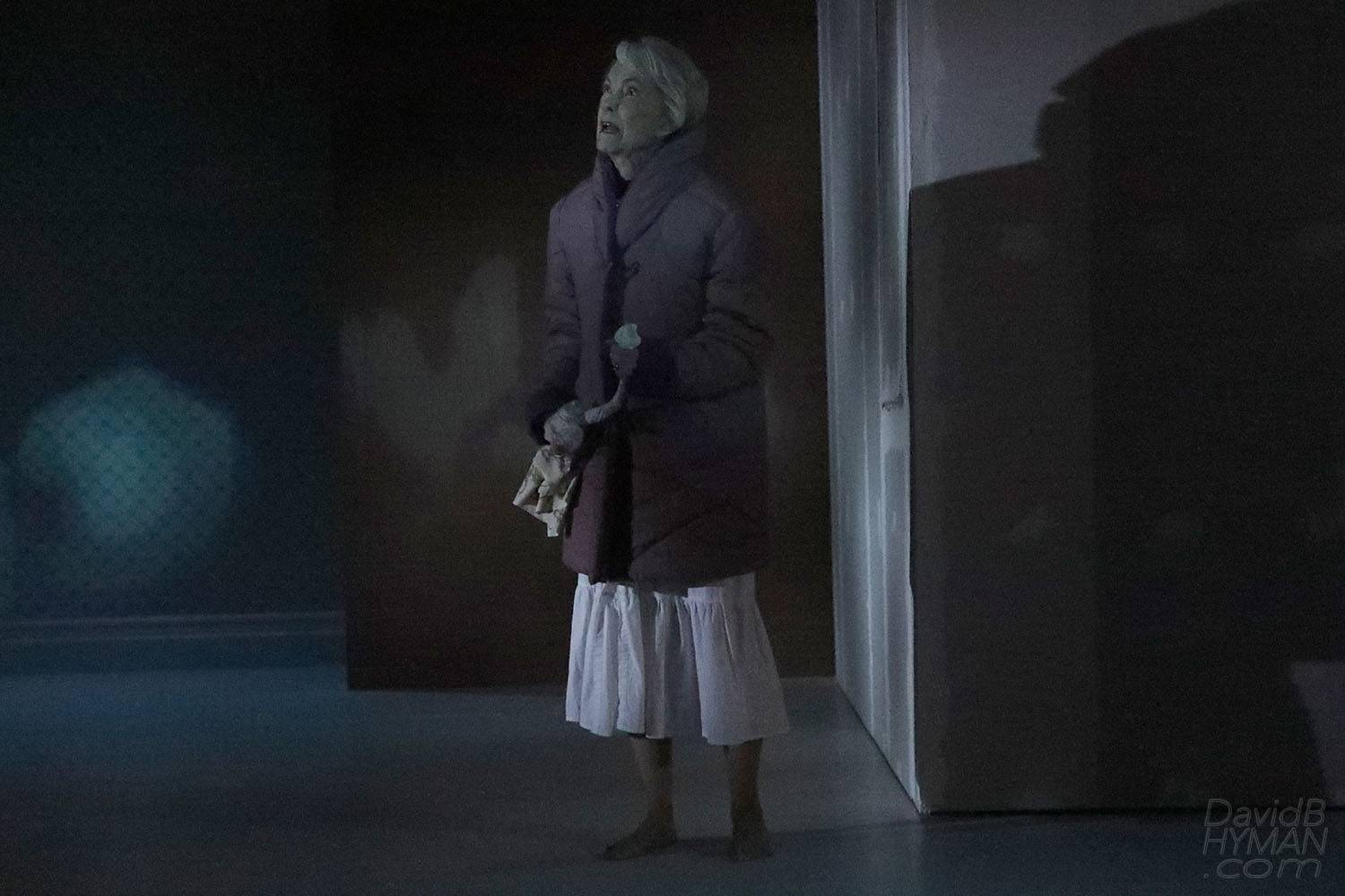 David B Hyman The Treasurer production photo