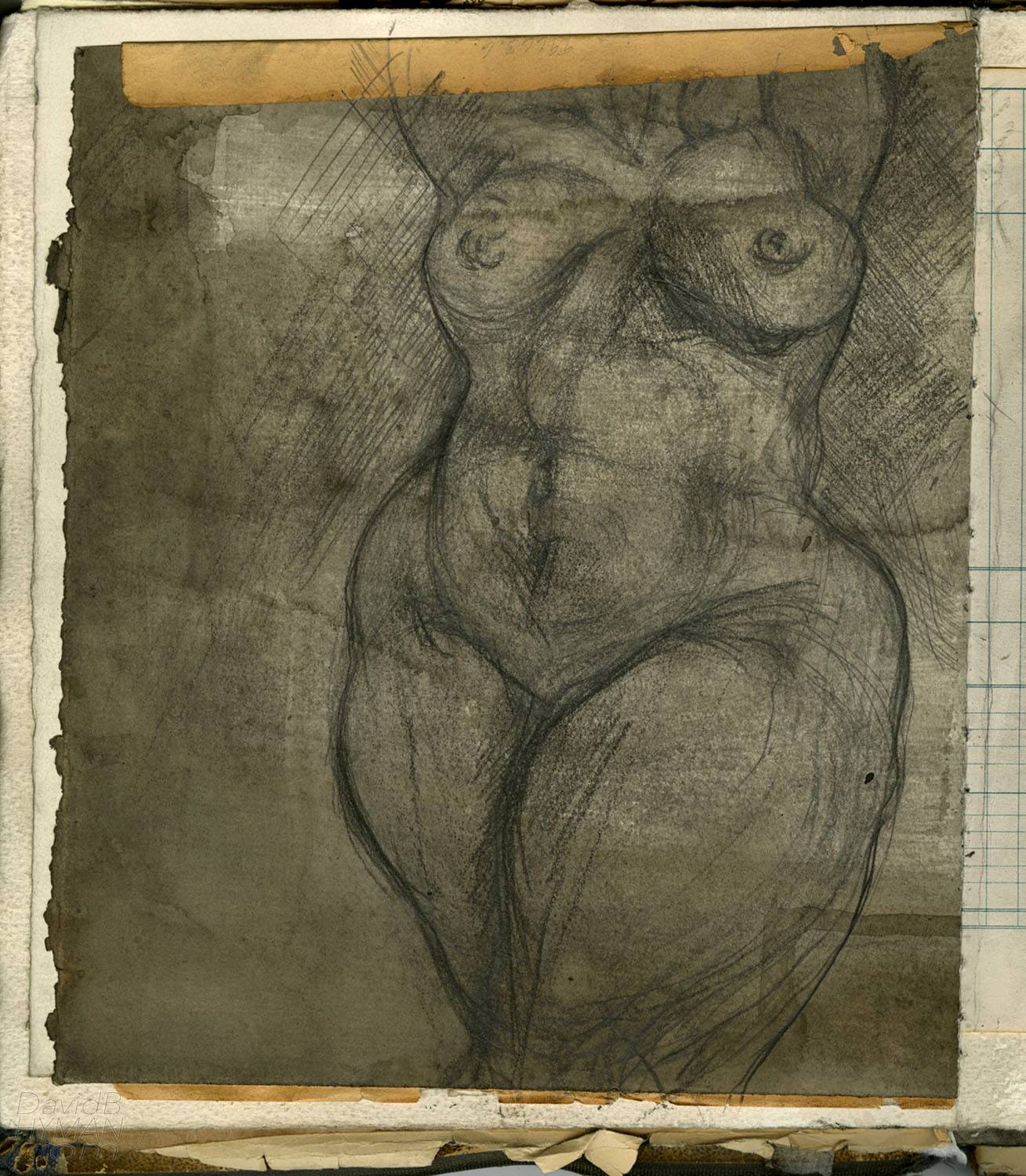 David B Hyman artwork