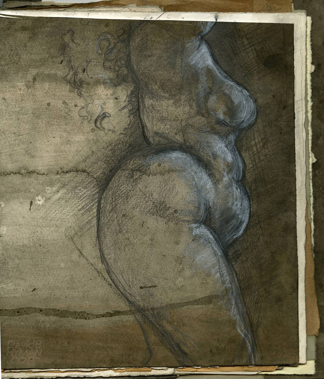 David B Hyman artwork