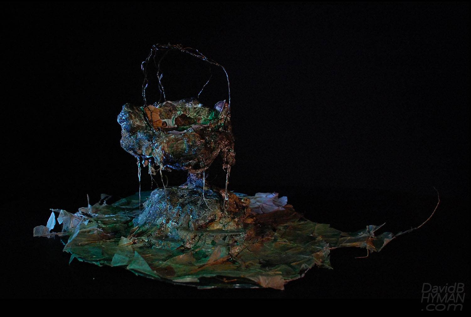 David B Hyman misc work production photo