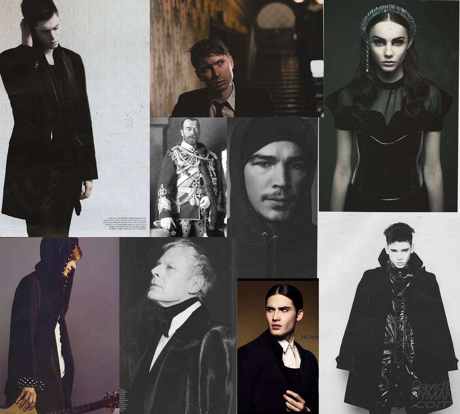 David B Hyman Hamlet research collage