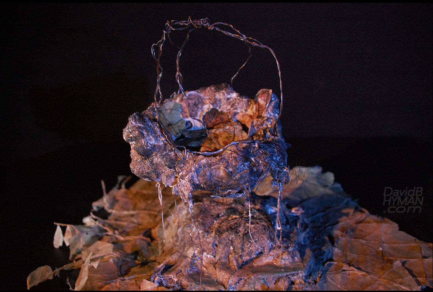 David B Hyman misc work production photo