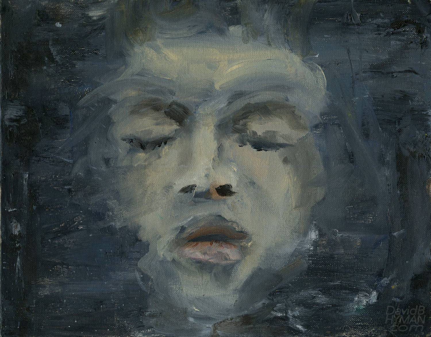 David B Hyman artwork