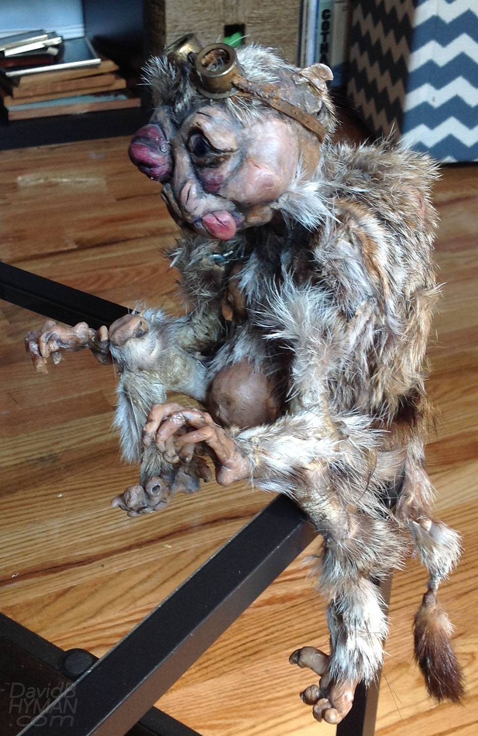 David B Hyman misc work production photo