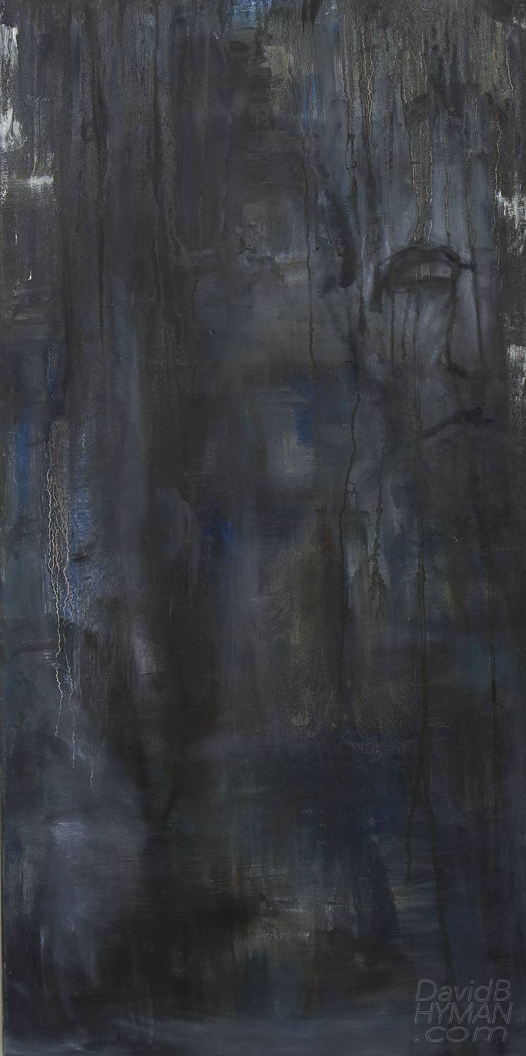 David B Hyman artwork